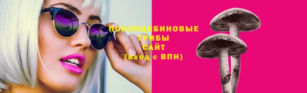 ГАЛЛЮЦИНОГЕННЫЕ ГРИБЫ Алексеевка