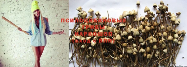 а пвп мука Абаза