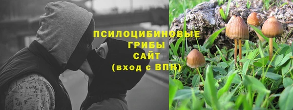 а пвп мука Абаза